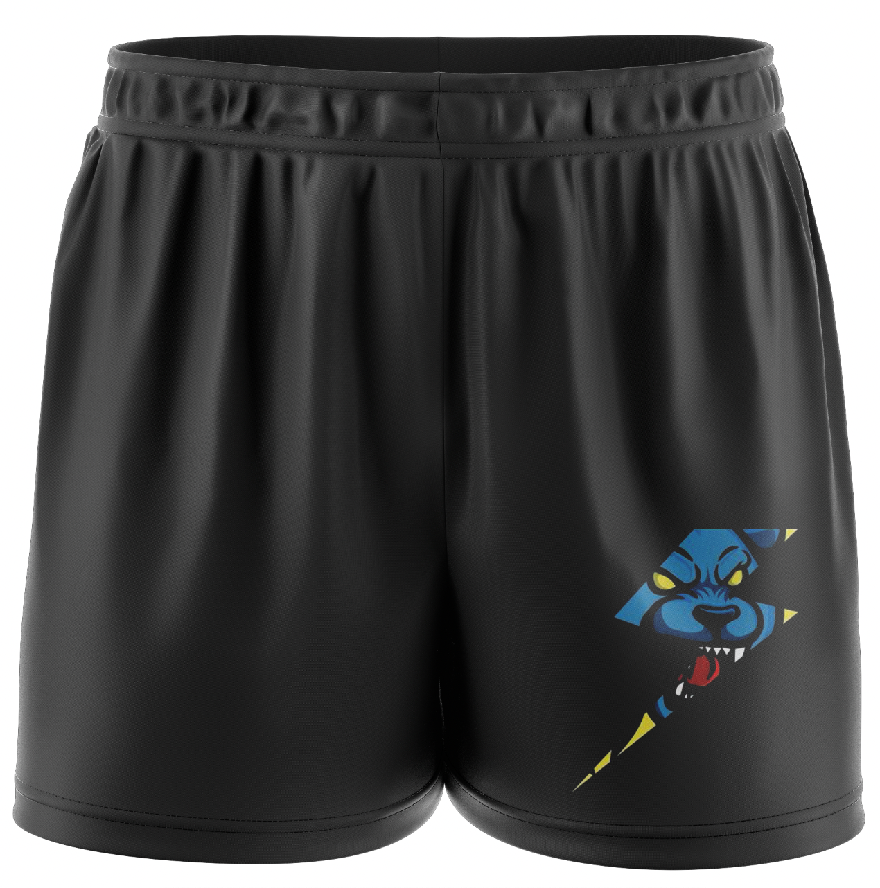 Thunder Select Coaches Shorts