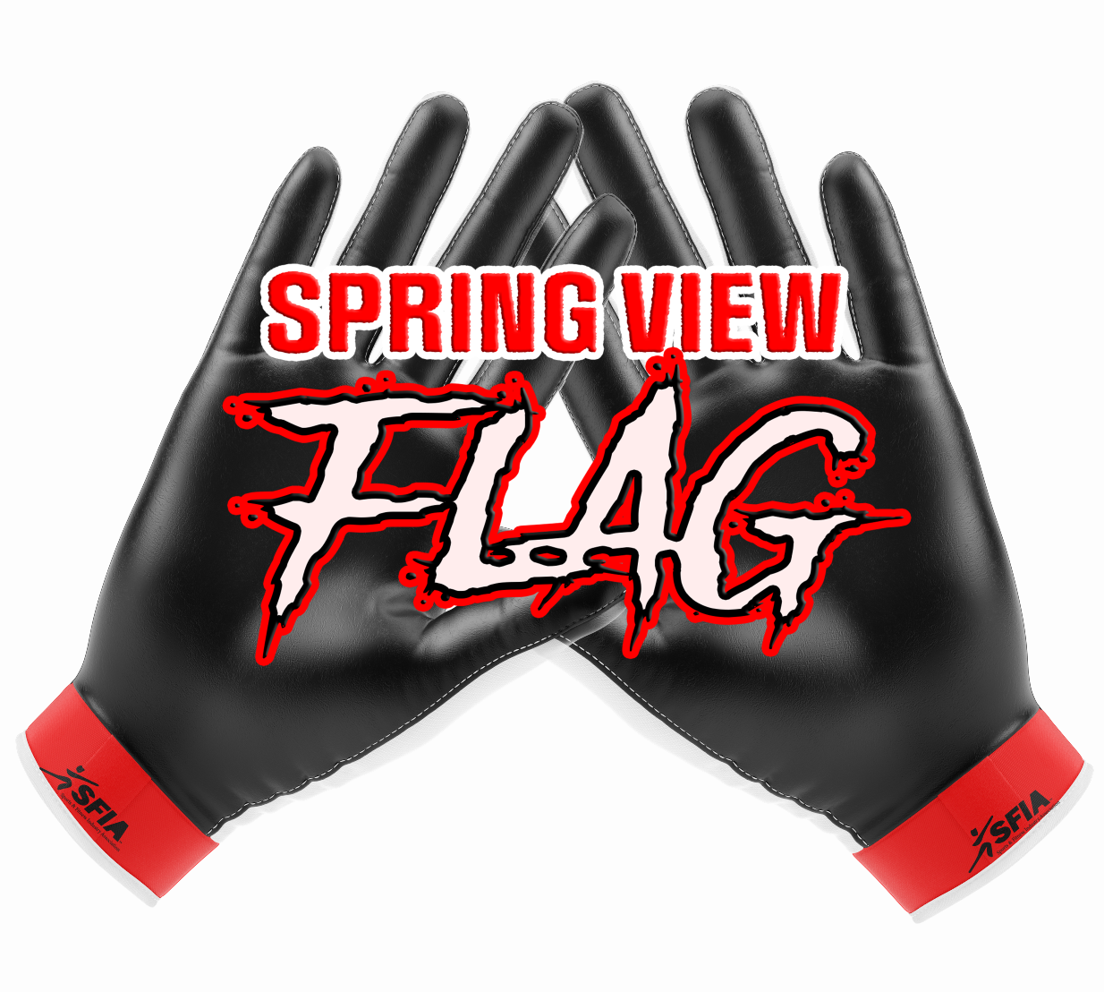 Spring View Flag Receiving Gloves
