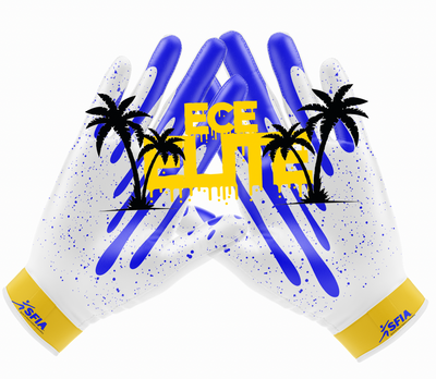 Custom Receiving Gloves